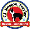 CL Boston Terrier Rescue Foundation